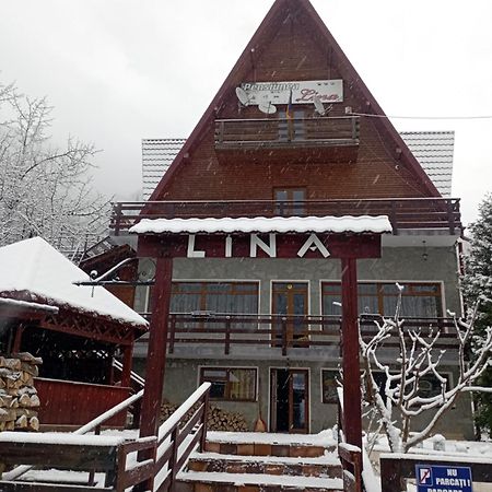 Pensiunea Lina Lepşa Exterior foto